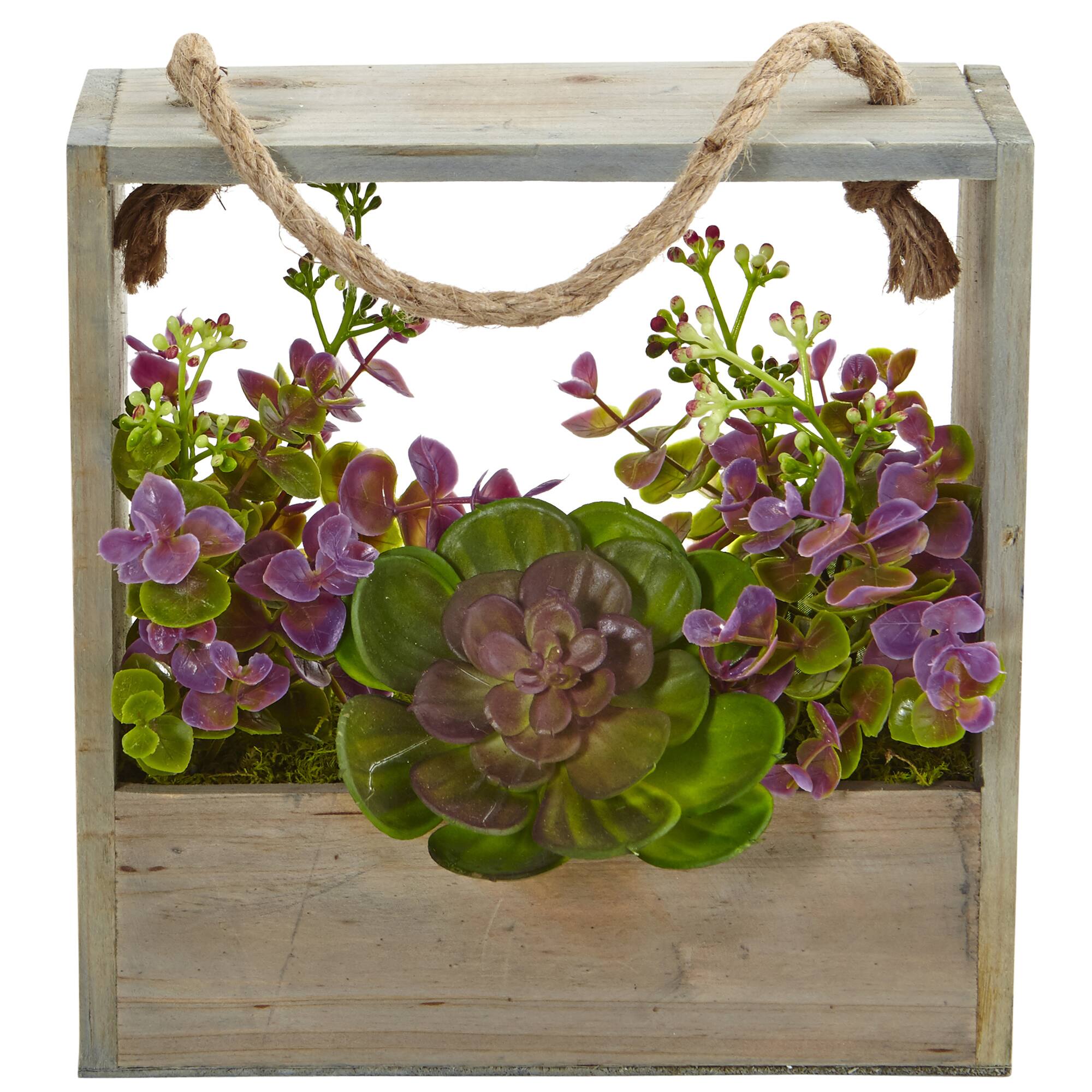 12.5" Succulent & Eucalyptus Plant in Hanging Frame